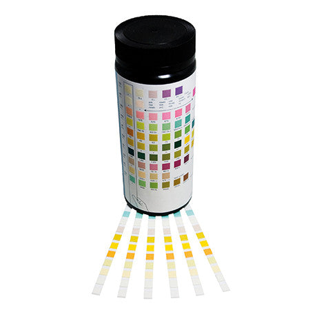 A bottle and sample of Insight Urinalysis Reagent Strips