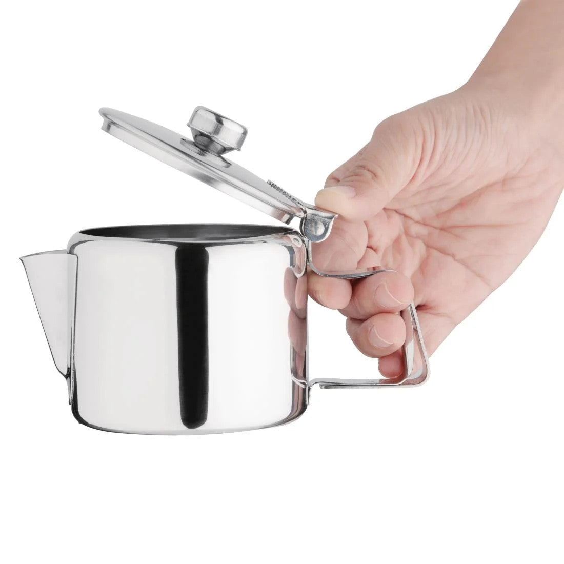 Stainless Steel Teapot 290ml