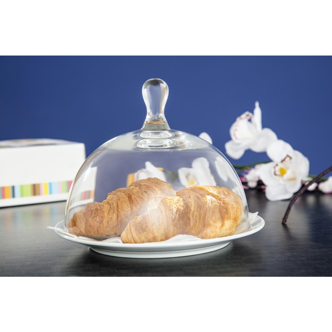 Utopia Large Glass Cloche CW552