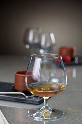 Full shot of Bistro Brandy Glass 14 oz with a little of content.