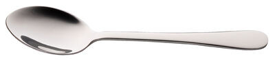 Full shot of Gourmet Dessert Spoon.