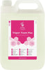 Evans Trigon Unperfumed Foam Hand Wash 6 x 1 ltr