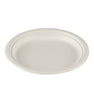 Compostable Bagasse Plates Round 9 Inches 500 Pack