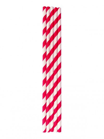 Full shot of 5 pcs Paper Straws Red Stripe.
