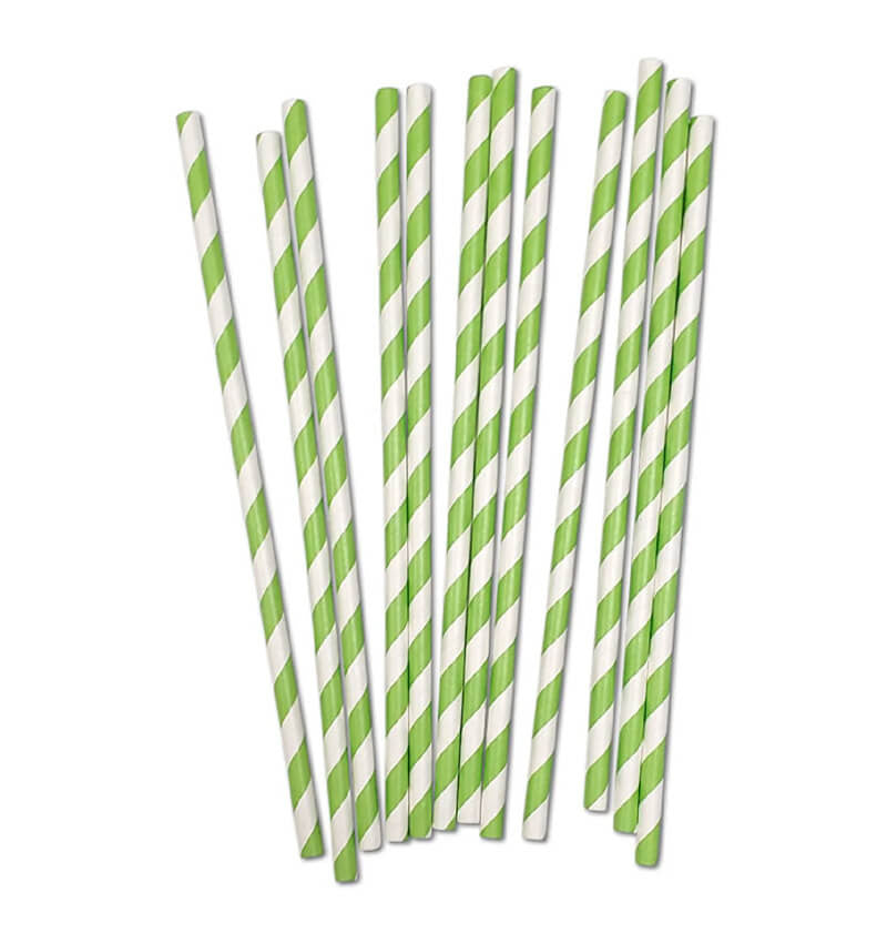 Two pcs of Paper  Smoothie Straws Green Stripe 200 x 8mm.