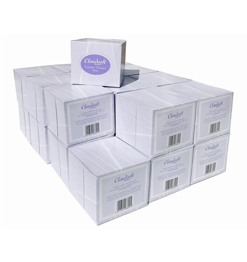Cube White 2 Ply Facial Tissue in a box ready to be pulled 24 Pack