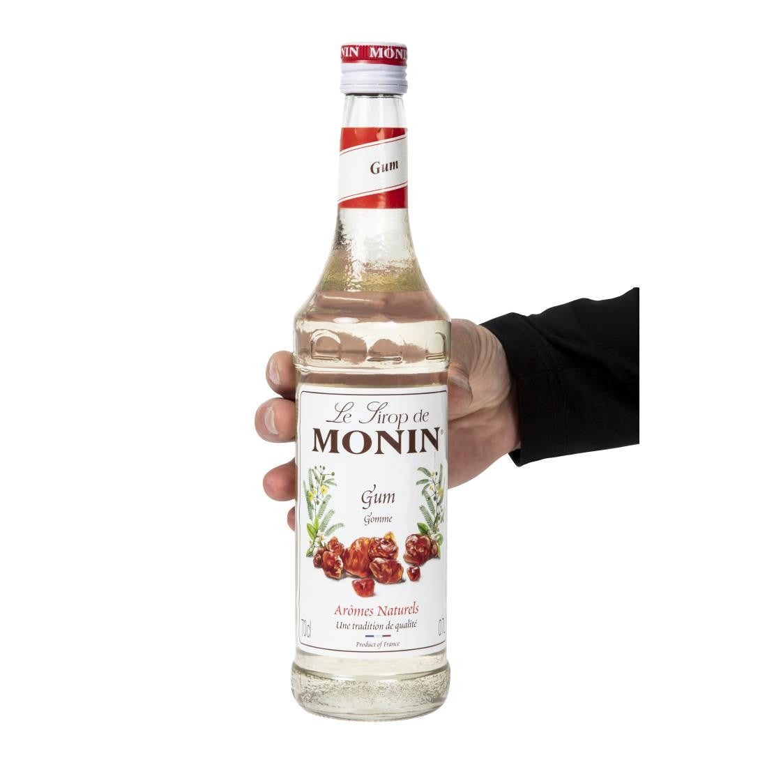 Monin Syrup Gomme CF710