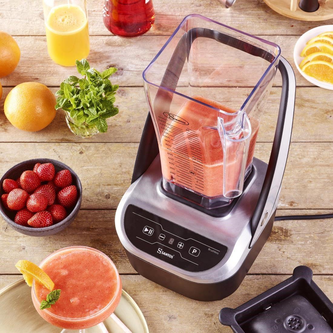 Santos Compact Brushless Blender #66 DM499