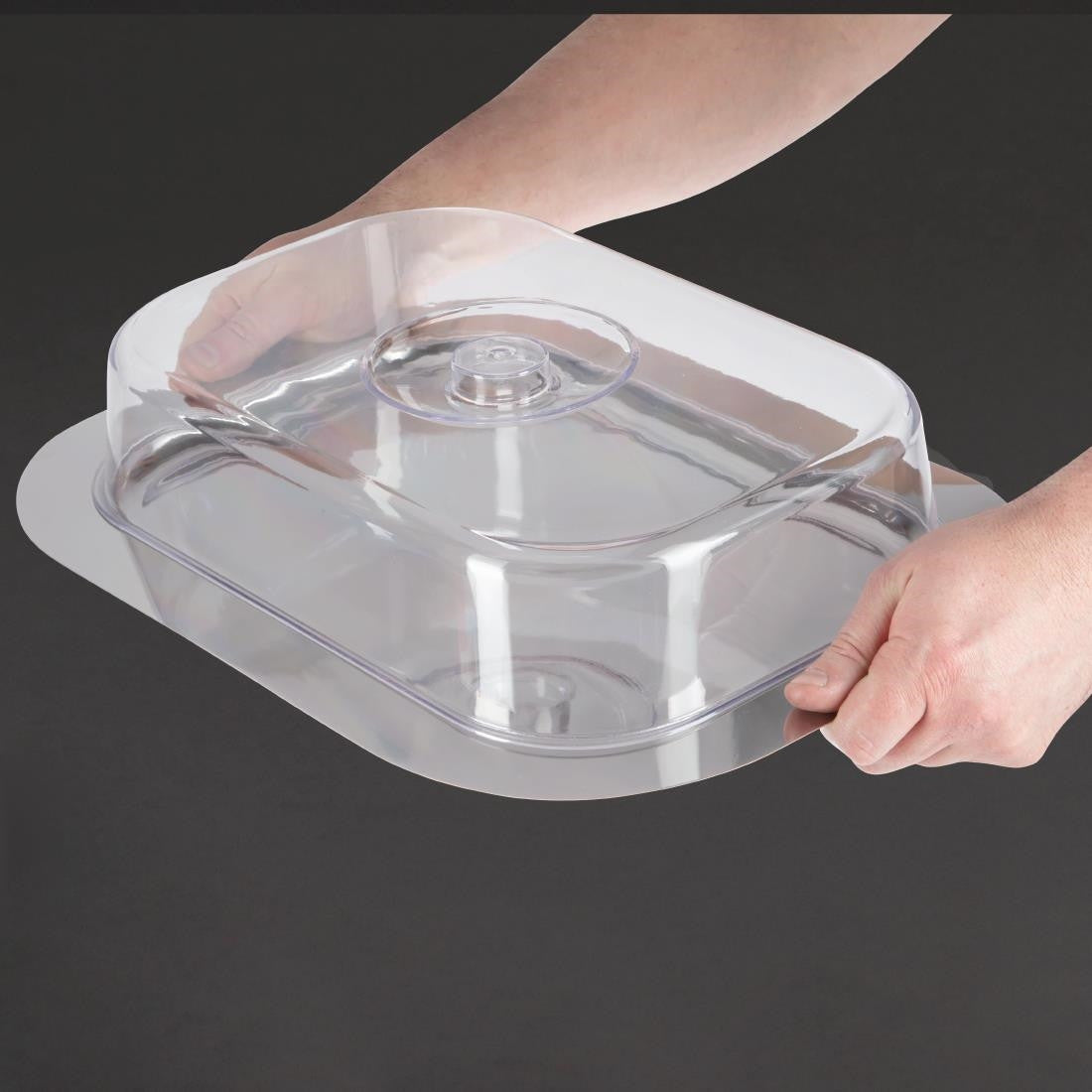 Stainless Steel Rectangular Tray with Cover F762