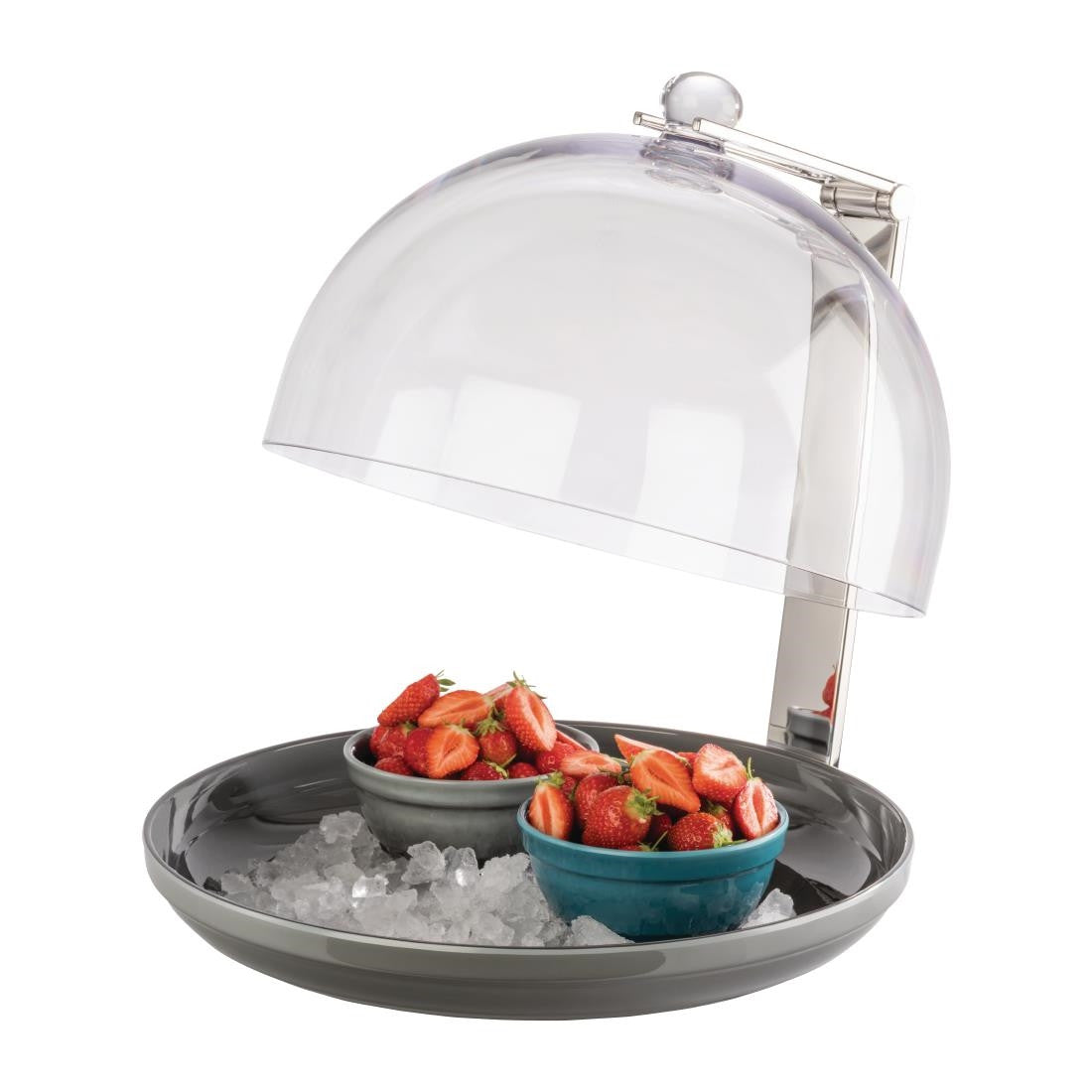 APS Cover Holder FE773