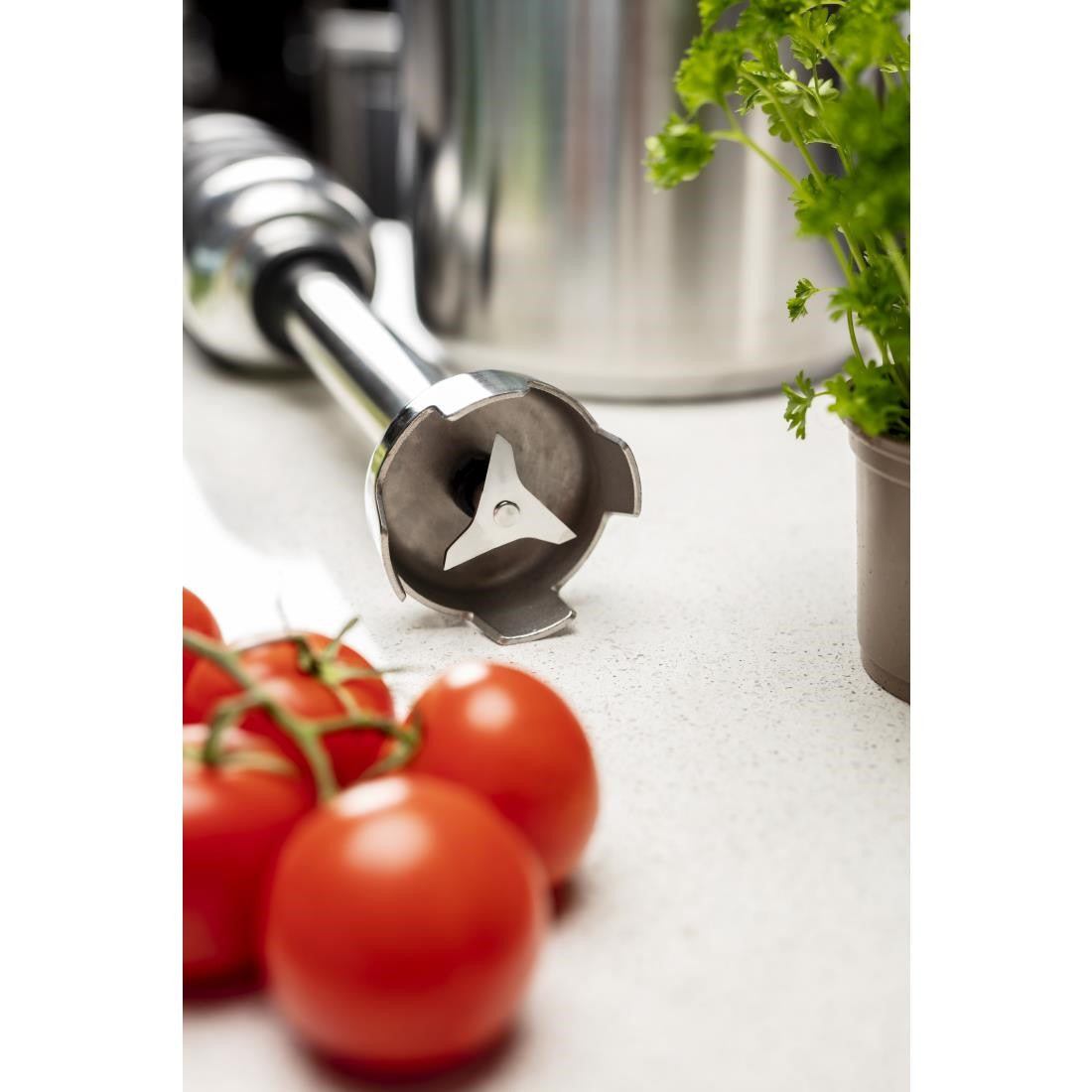 Buffalo Variable Speed Stick Blender 300mm Shaft FS440
