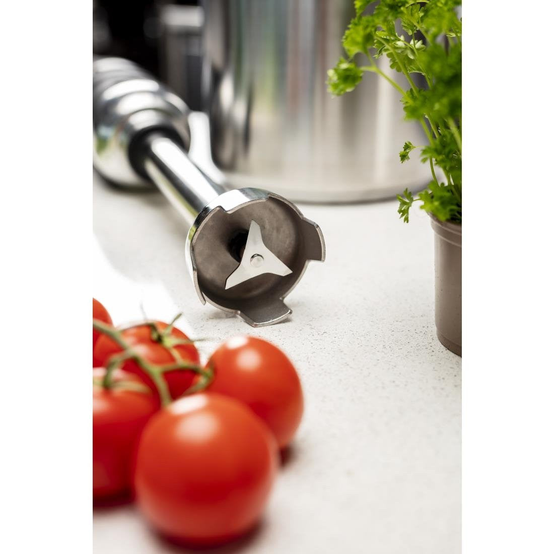 Buffalo Variable Speed Stick Blender 500mm Shaft FS442